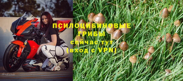 ALPHA-PVP Верхний Тагил